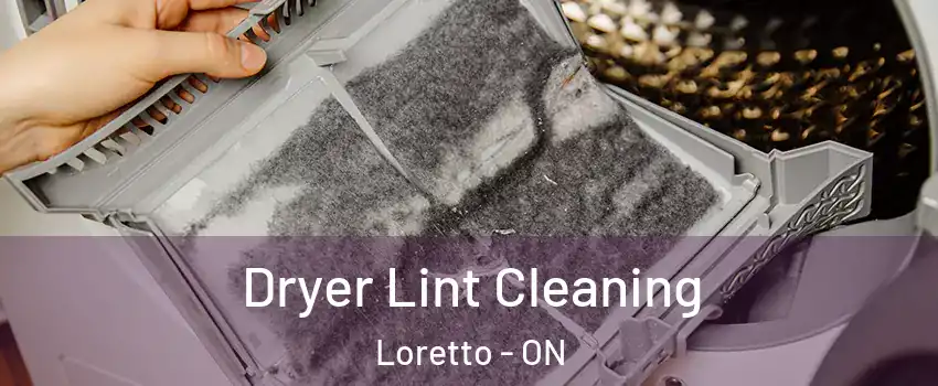  Dryer Lint Cleaning Loretto - ON