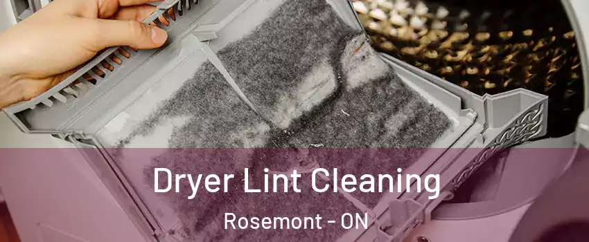  Dryer Lint Cleaning Rosemont - ON