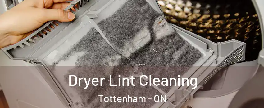 Dryer Lint Cleaning Tottenham - ON