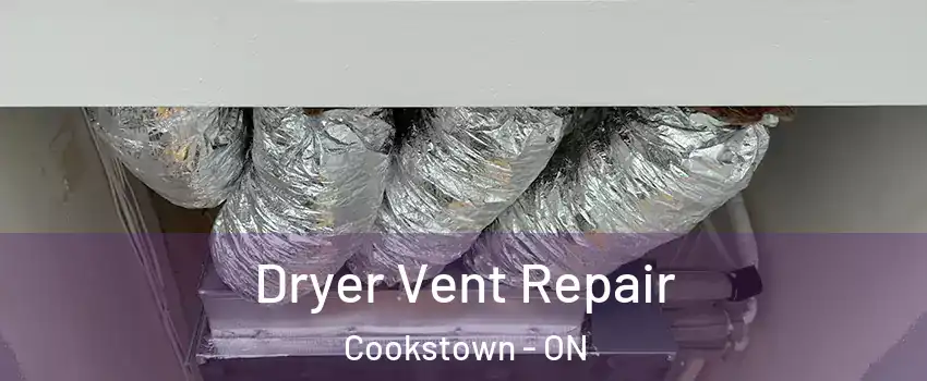  Dryer Vent Repair Cookstown - ON