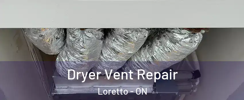  Dryer Vent Repair Loretto - ON