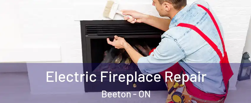  Electric Fireplace Repair Beeton - ON