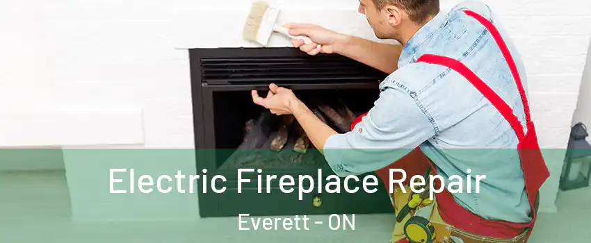  Electric Fireplace Repair Everett - ON