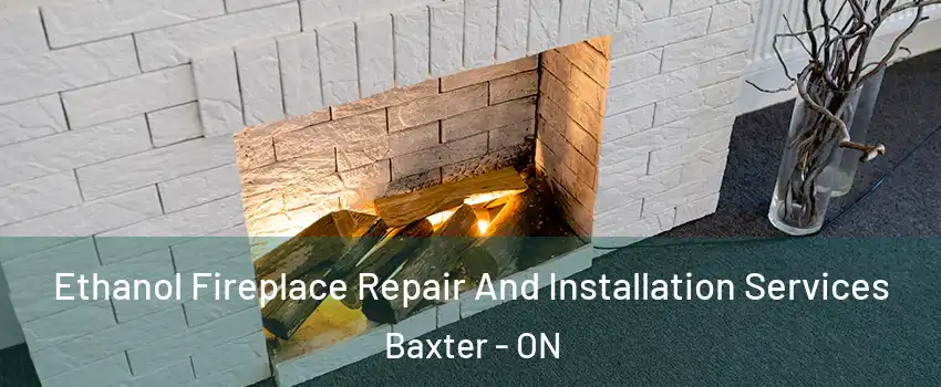  Ethanol Fireplace Repair And Installation Services Baxter - ON