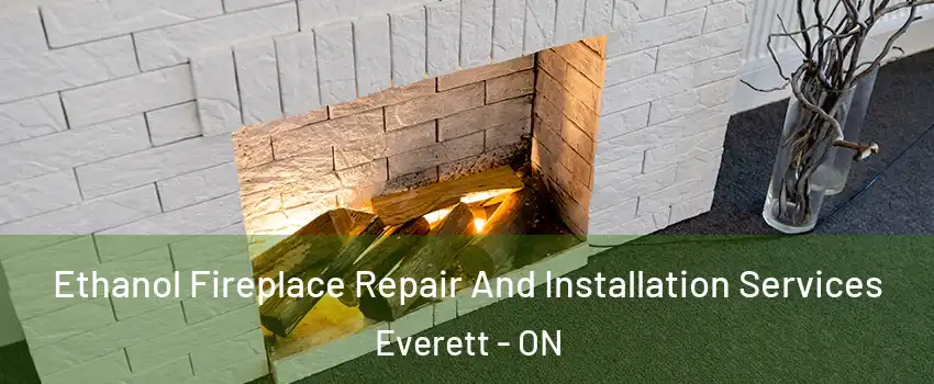  Ethanol Fireplace Repair And Installation Services Everett - ON
