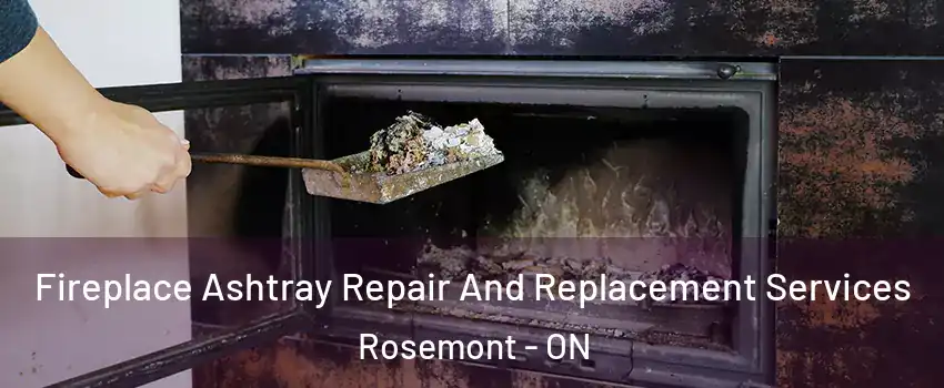  Fireplace Ashtray Repair And Replacement Services Rosemont - ON