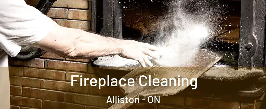  Fireplace Cleaning Alliston - ON