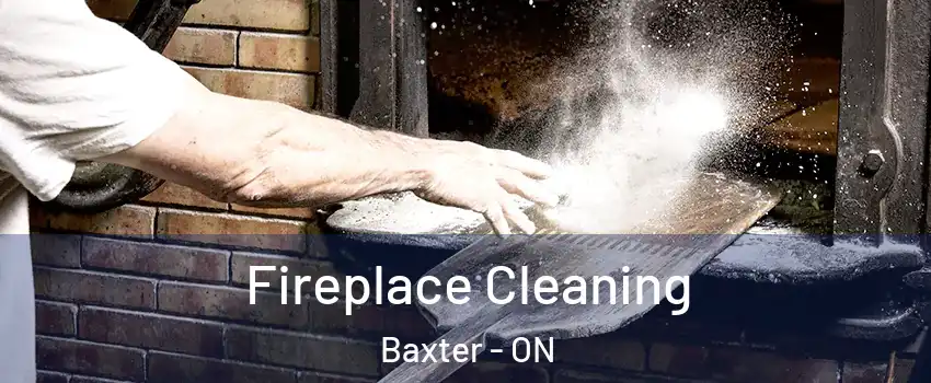  Fireplace Cleaning Baxter - ON