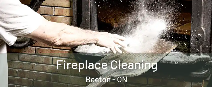  Fireplace Cleaning Beeton - ON