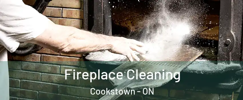  Fireplace Cleaning Cookstown - ON