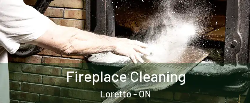  Fireplace Cleaning Loretto - ON