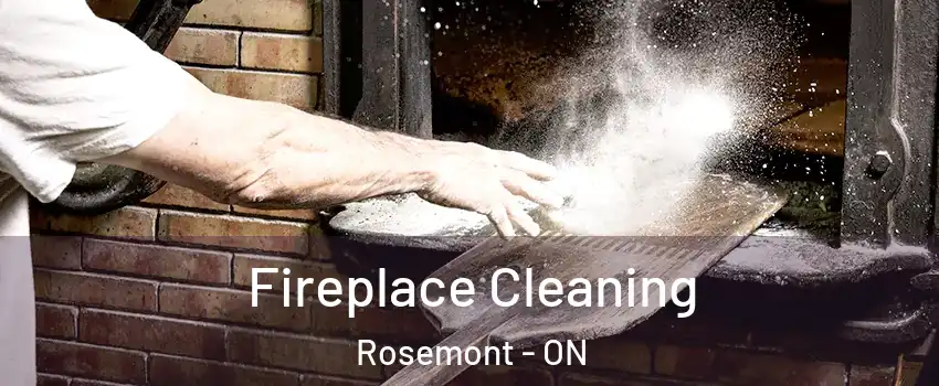  Fireplace Cleaning Rosemont - ON