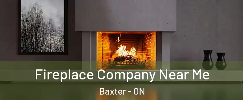  Fireplace Company Near Me Baxter - ON