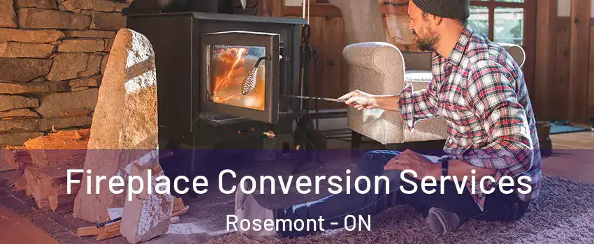  Fireplace Conversion Services Rosemont - ON