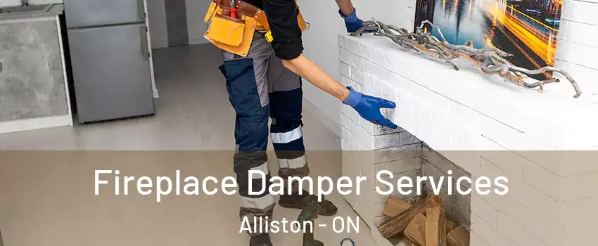  Fireplace Damper Services Alliston - ON