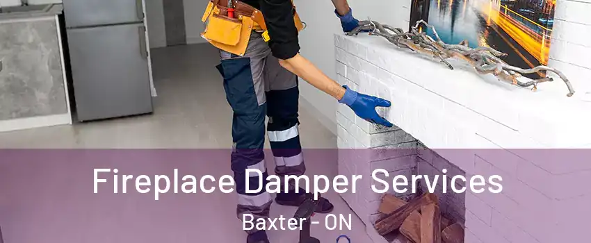  Fireplace Damper Services Baxter - ON