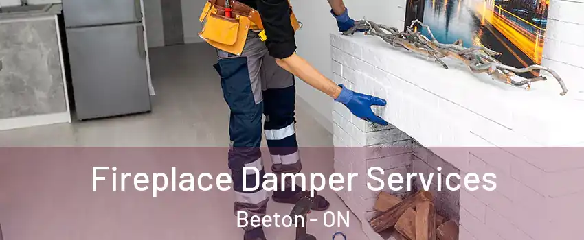  Fireplace Damper Services Beeton - ON