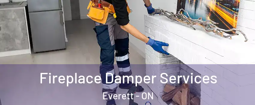  Fireplace Damper Services Everett - ON