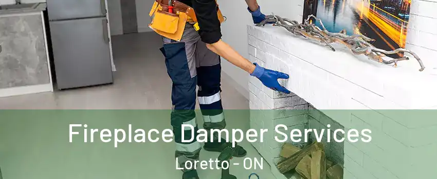  Fireplace Damper Services Loretto - ON