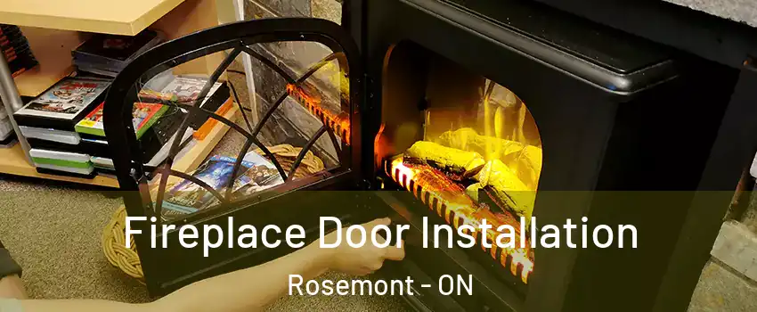  Fireplace Door Installation Rosemont - ON