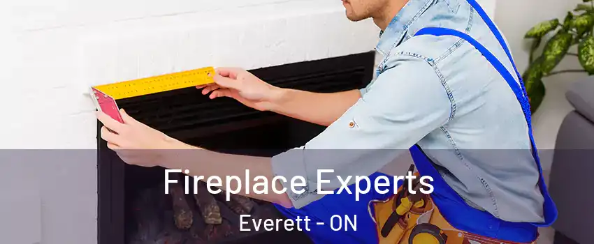  Fireplace Experts Everett - ON