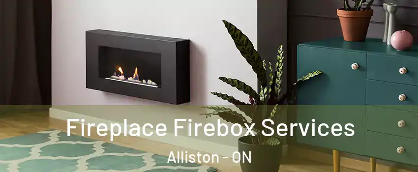  Fireplace Firebox Services Alliston - ON