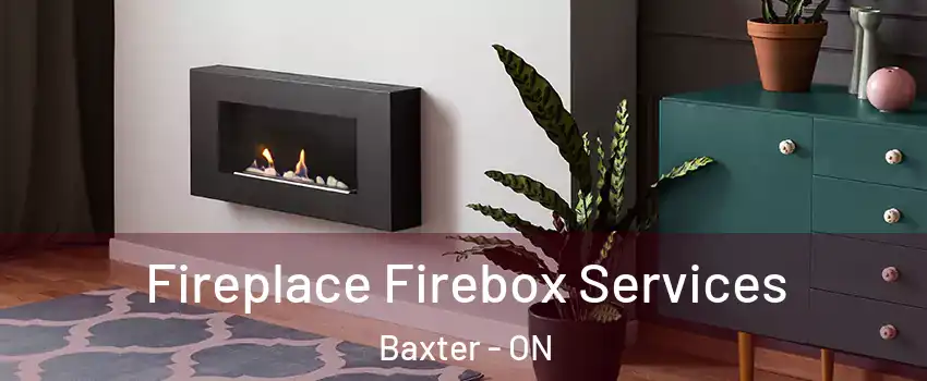  Fireplace Firebox Services Baxter - ON