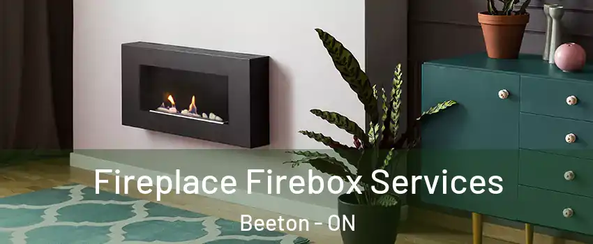  Fireplace Firebox Services Beeton - ON
