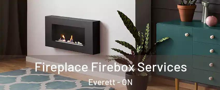  Fireplace Firebox Services Everett - ON