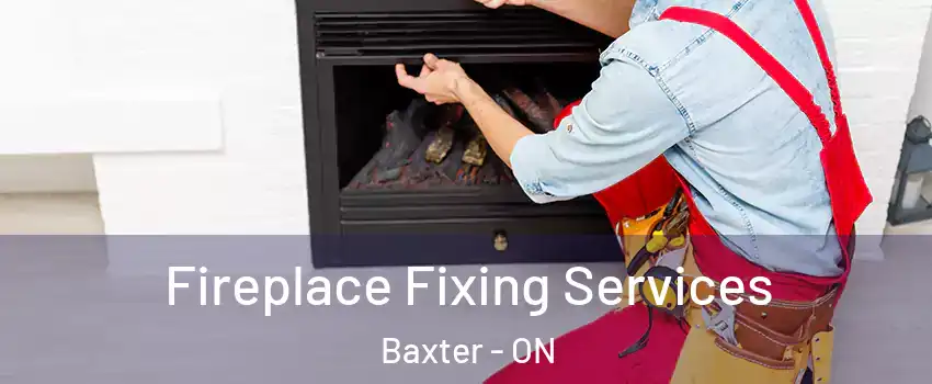  Fireplace Fixing Services Baxter - ON