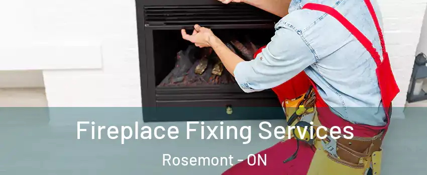  Fireplace Fixing Services Rosemont - ON