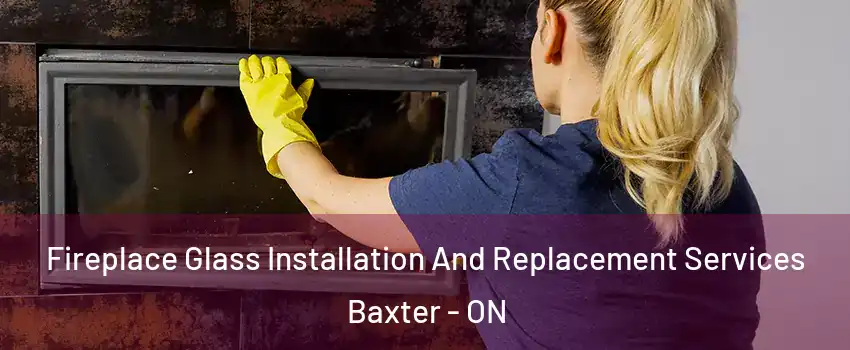  Fireplace Glass Installation And Replacement Services Baxter - ON