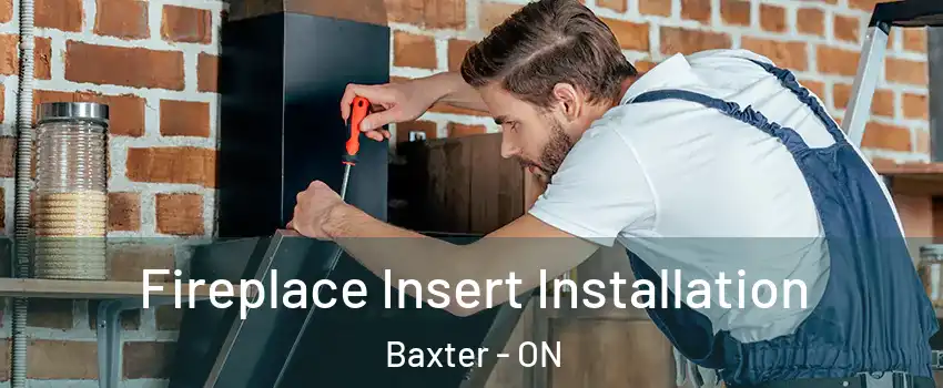  Fireplace Insert Installation Baxter - ON