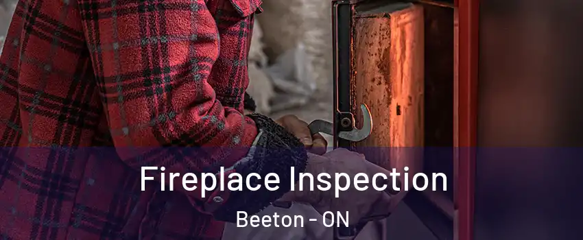  Fireplace Inspection Beeton - ON
