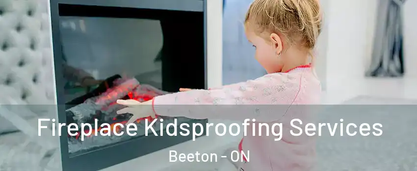  Fireplace Kidsproofing Services Beeton - ON