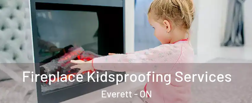  Fireplace Kidsproofing Services Everett - ON