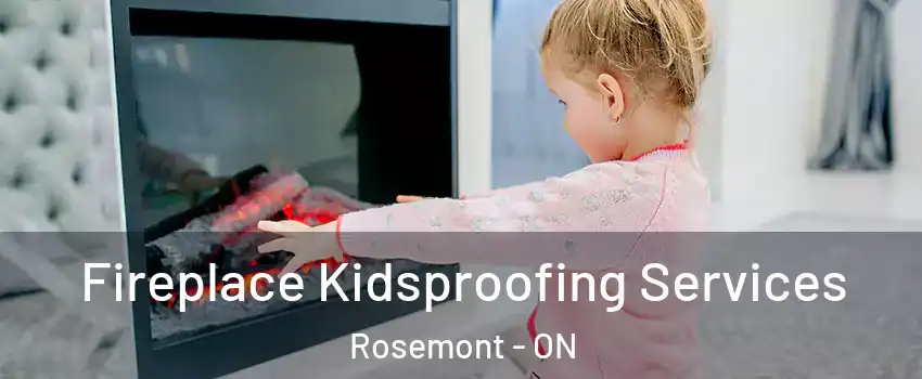  Fireplace Kidsproofing Services Rosemont - ON