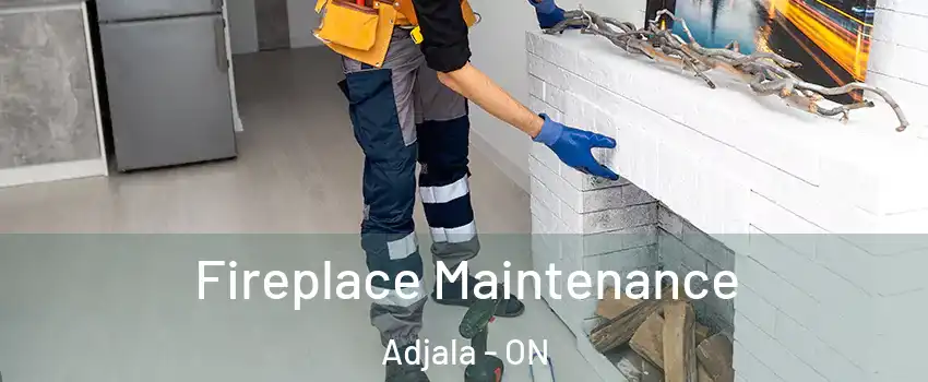  Fireplace Maintenance Adjala - ON