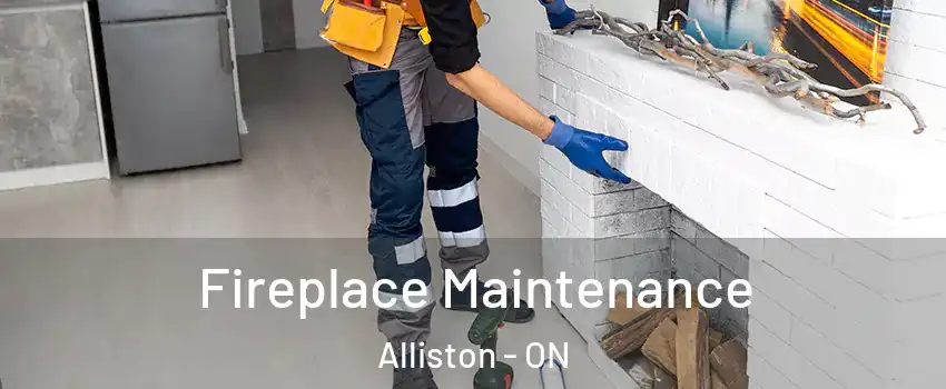  Fireplace Maintenance Alliston - ON