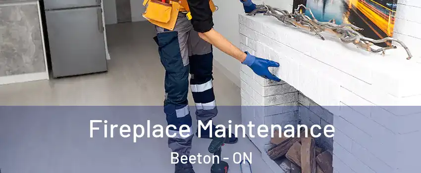  Fireplace Maintenance Beeton - ON