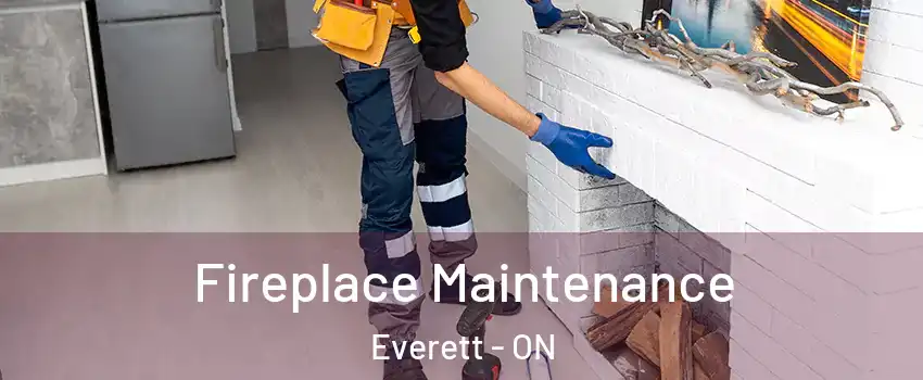  Fireplace Maintenance Everett - ON