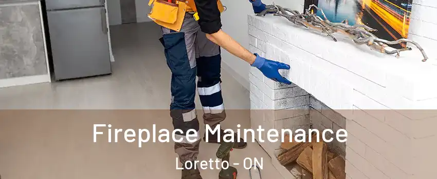 Fireplace Maintenance Loretto - ON