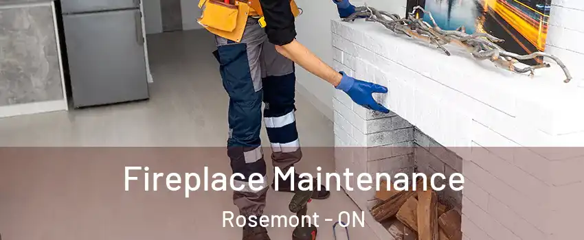  Fireplace Maintenance Rosemont - ON