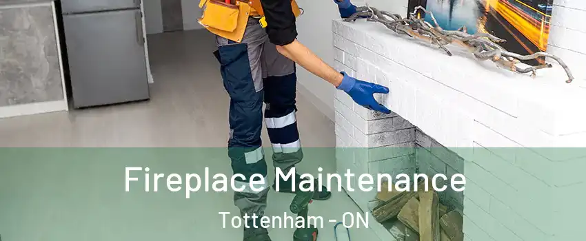  Fireplace Maintenance Tottenham - ON