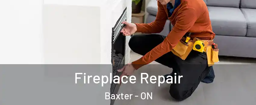  Fireplace Repair Baxter - ON