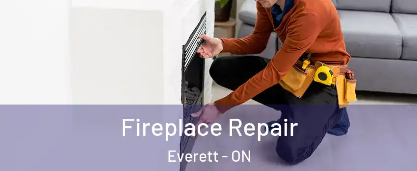  Fireplace Repair Everett - ON