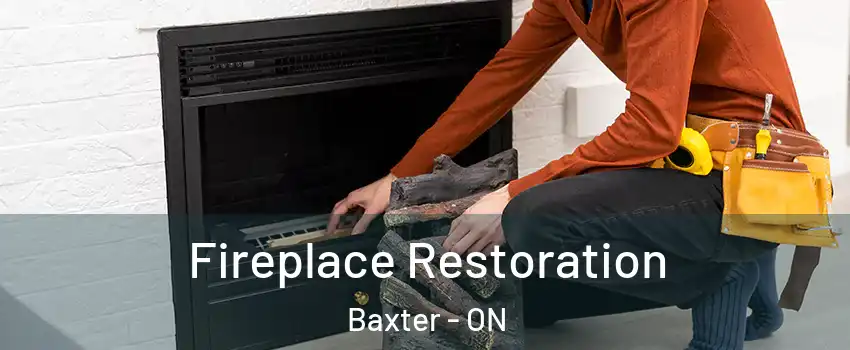  Fireplace Restoration Baxter - ON