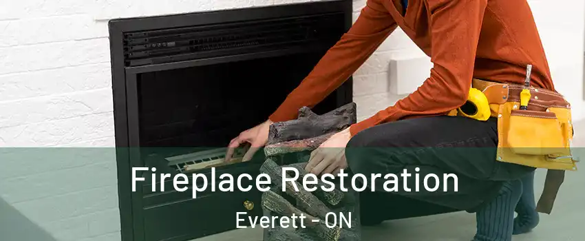  Fireplace Restoration Everett - ON