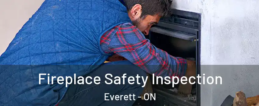  Fireplace Safety Inspection Everett - ON