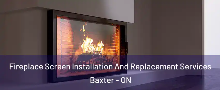  Fireplace Screen Installation And Replacement Services Baxter - ON